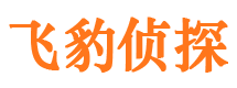 卧龙外遇调查取证